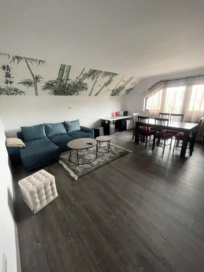 Апартаменты Eroilor II Apartament Сучава Экстерьер фото